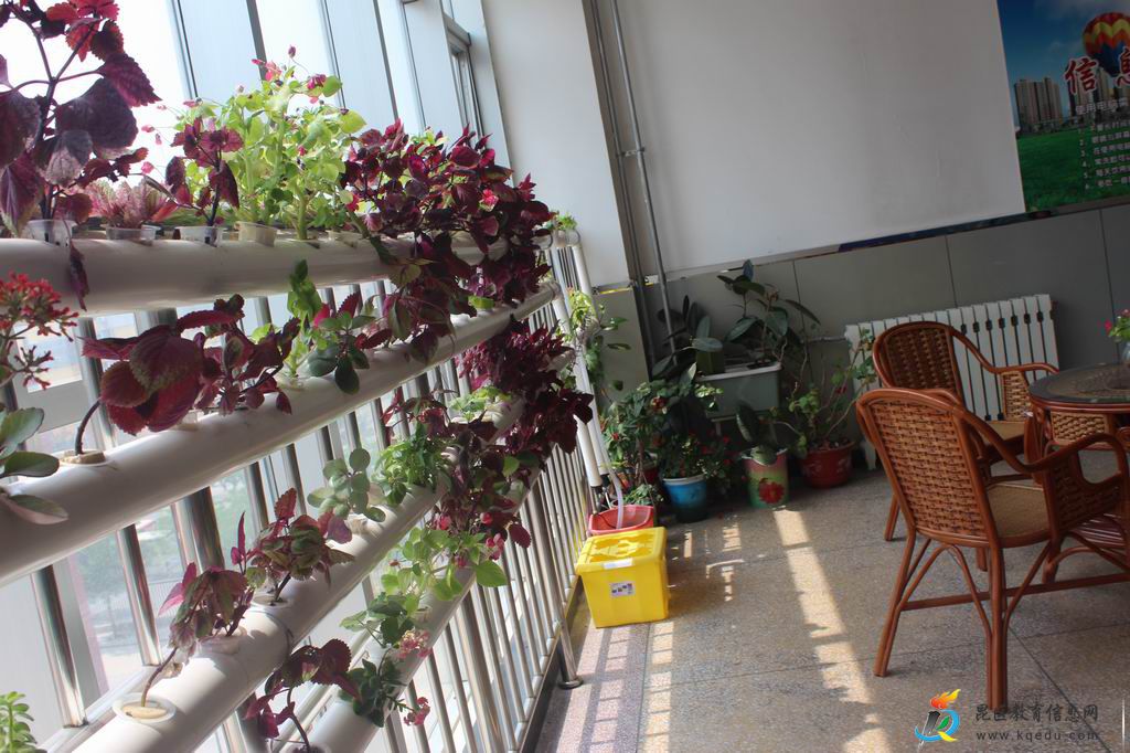 调整大小 和平中学.JPG